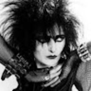 Meet your Posher, Kimber